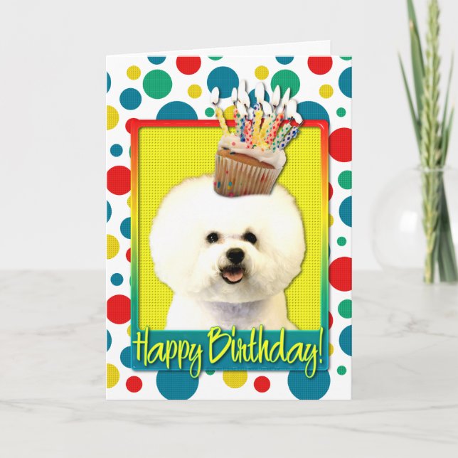 Carte Cupcake d'anniversaire - Bichon Frise (Devant)