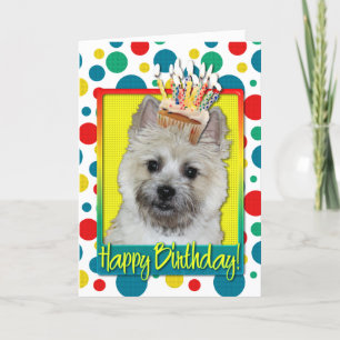 Carte Cupcake d'anniversaire - Cairn Terrier - Teddy Bea