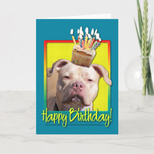 Carte Cupcake d'anniversaire - Pitbull - Jersey Girl