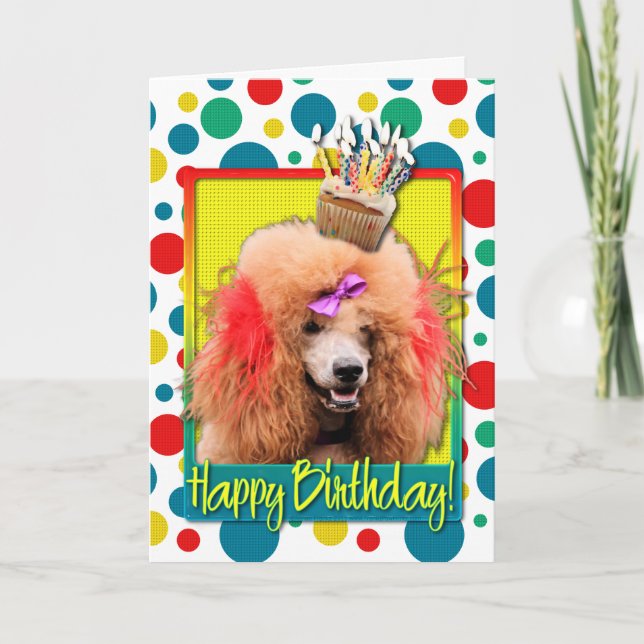 Carte Cupcake d'anniversaire - Poodle - Rouge (Devant)