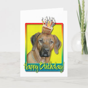 Carte Cupcake d'anniversaire - Rhodesian Ridgeback