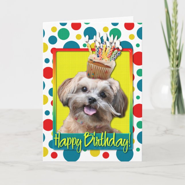Carte Cupcake d'anniversaire - ShihPoo - Maggie (Devant)