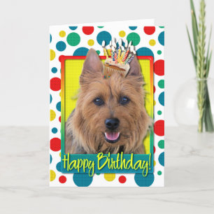 Carte Cupcake d'anniversaire - Terrier australien