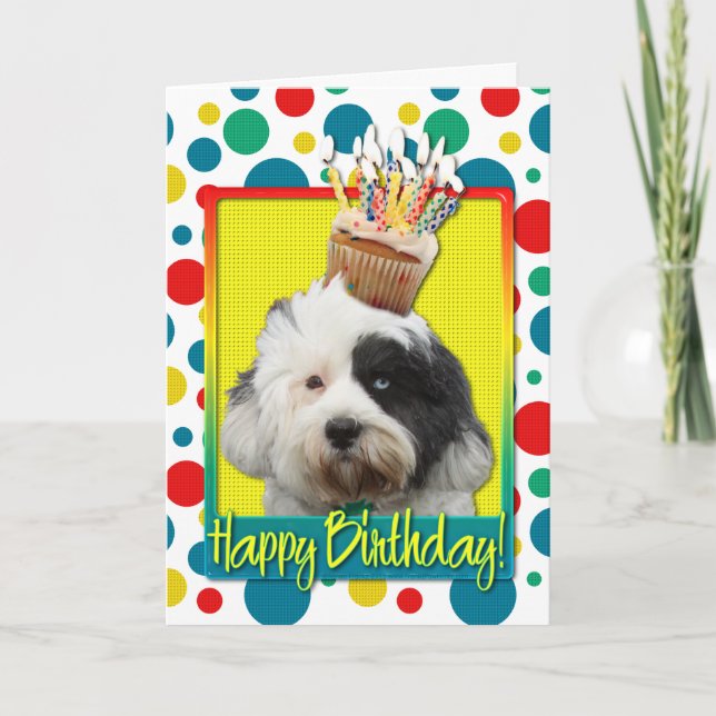 Carte Cupcake d'anniversaire - Terrier tibétain (Devant)