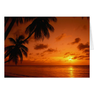 Carte curative de coucher du soleil