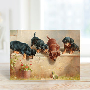Carte Curieux Chiots Dachshund   Carl Reichert