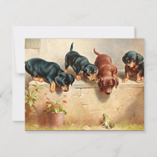 Carte Curieux Chiots Dachshund et une grenouille