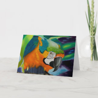 Carte Curieux Macaw