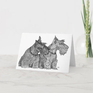 Carte Curieux Scottish Terriers stylo & croquis d'encre