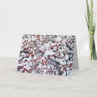 Carte Custom Business Snow Branches Berries Holiday
