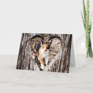 Carte Customisez avec votre propre photo !