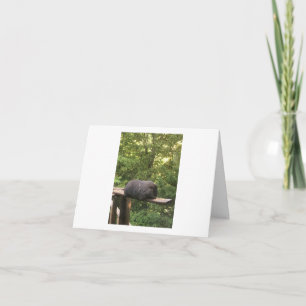 Carte Cute animal card for someone you care about.