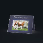 Carte Cute Basset Hound sur Funny Birthday Card avec Gât<br><div class="desc">Cute Basset Hound sur Funny Birthday Card avec Gâteau</div>