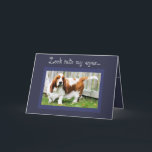 Carte Cute Basset Hound sur Funny Birthday Card avec Gât<br><div class="desc">Cute Basset Hound sur Funny Birthday Card avec Gâteau</div>