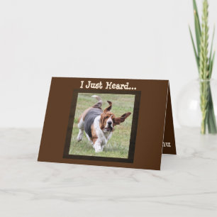 Carte Cute Basset Hound sur Funny Birthday Card avec Gât