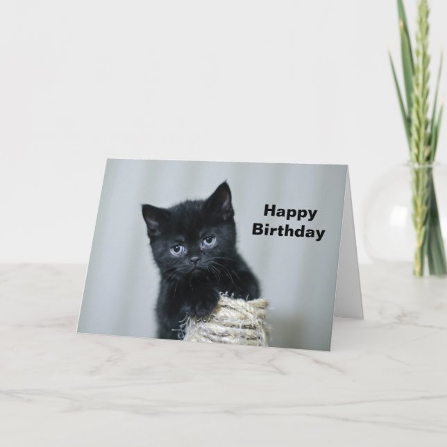 Carte Cute Black Kitten Twin Photo Anniversaire (Devant)