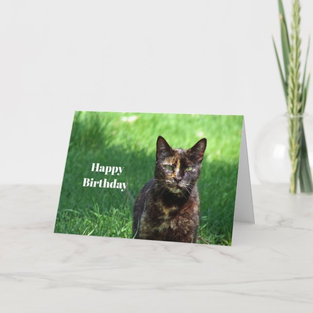 Carte Cute Brown Tortoiseshell Photo Chat Anniversaire (Devant)