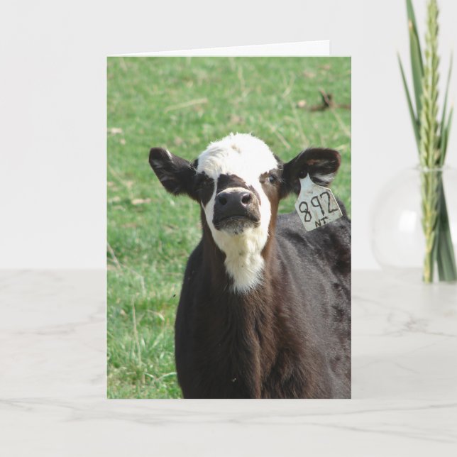 Carte Cute Calf, on a déménagé (Devant)