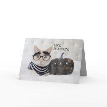 Cute Chat Boussais Yeux Et Lunettes Halloween