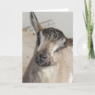 Carte Cute chèvre