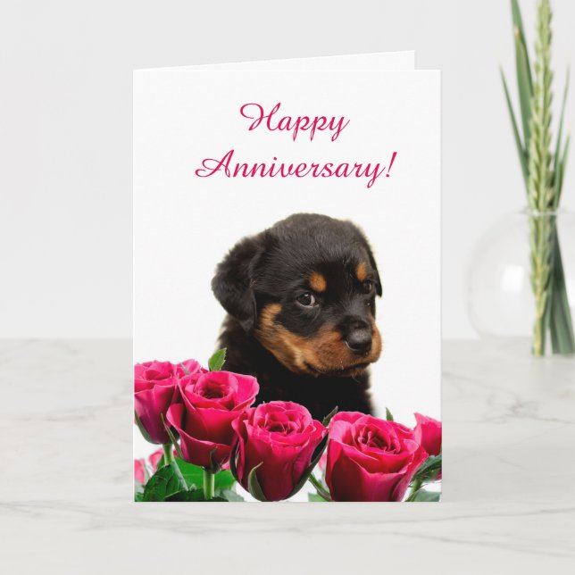 Carte Cute chiot Rottweiler Rose Anniversaire (Devant)