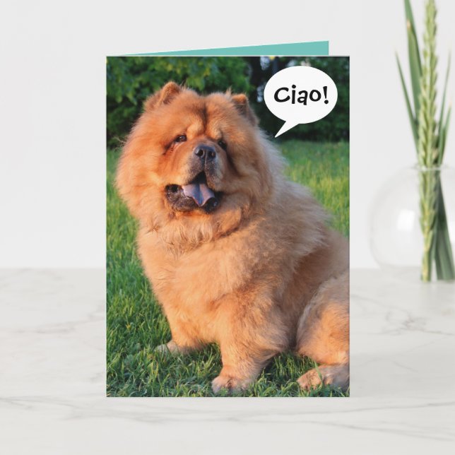 Carte Cute Chow Chow Dit "Ciao !"Carte de voeux (Devant)