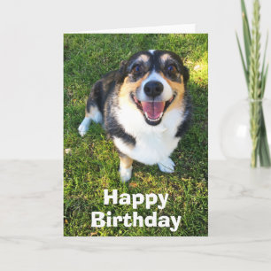 Carte Cute Corgi Birthday