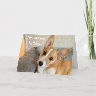 Carte Cute Corgi Photo Funny Chien Amoureux Anniversaire