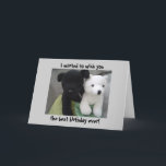 Carte Cute Dog And Bear Birthday<br><div class="desc">A cute dog and bear in a basket,  any animal lover would be happy to receive this one!</div>