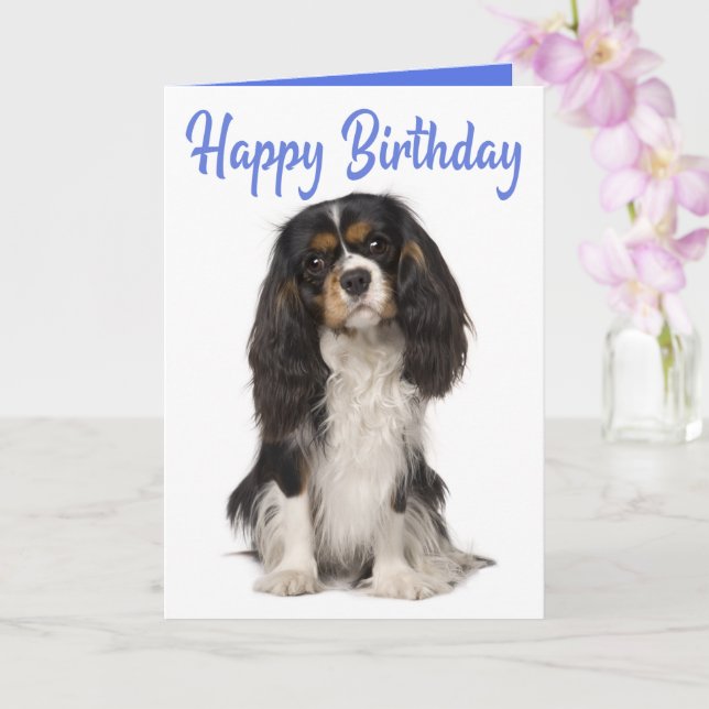 Carte Cute Dog King Charles Cavalier Spaniel Birthday (Orchidée)