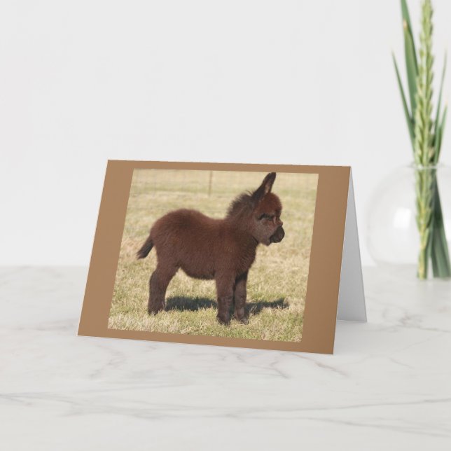 CARTE CUTE DONKEY DIT **JOLI ANNIVERSAIRE À VOUS** (Devant)