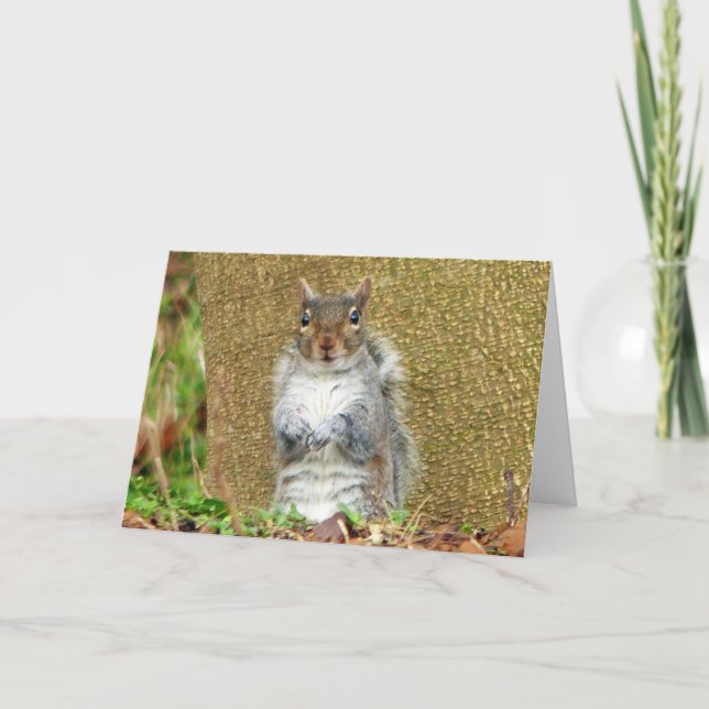 Carte Cute écureuil (Devant)