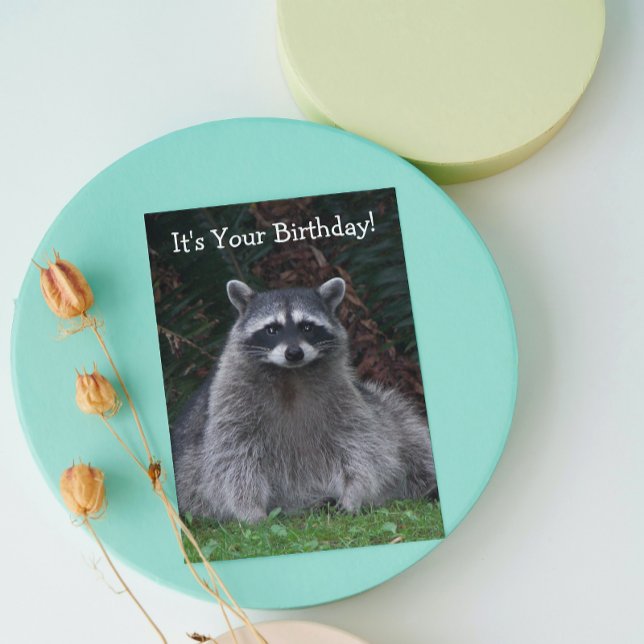Carte Cute Forest Raccoon Photo Amusant Anniversaire (In Situ)