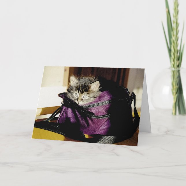 Carte Cute Grey Kitten En Purse Penser De Vous Personnal (Devant)