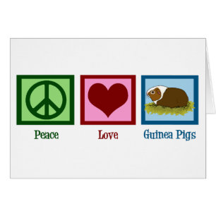 Carte Cute Guinea Pig Peace Love Guinée Pigs Card