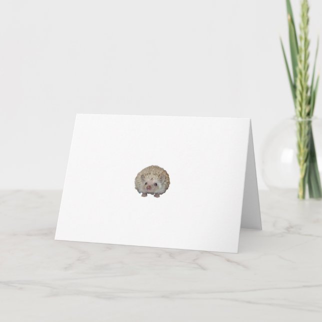 Carte Cute hedgehog card (Devant)