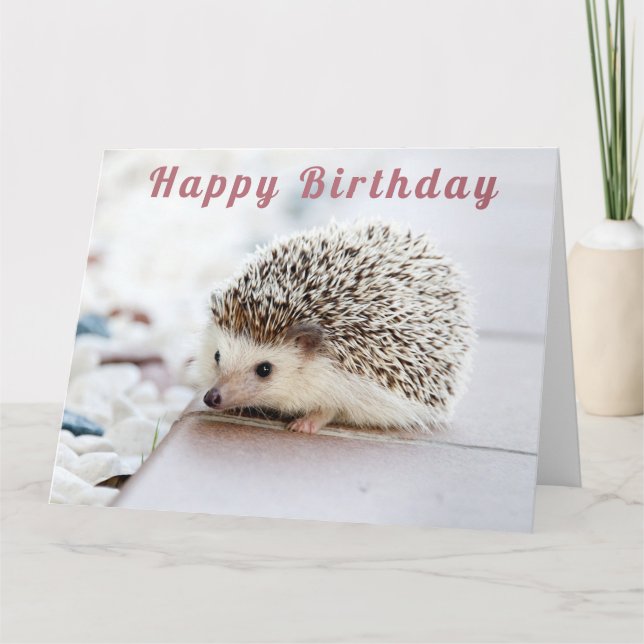 Carte Cute Hedgehog - Joyeux anniversaire (Devant)