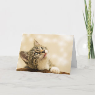 Carte Cute Kitten avec une paille étirée