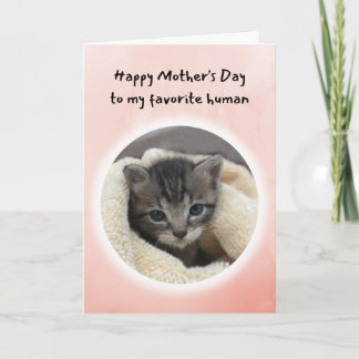 Carte Cute Kitten You are My Favorite Human Mother's Day
