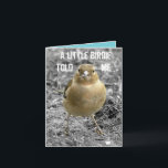 Carte Cute Little Birdie Bonne Personnaliser d'anniversa<br><div class="desc">Ce mignon petit bonhomme était heureux de poser et de faire prendre sa photo pour cette carte ! Ils vivent dans la campagne du Leicestershire.

Tout le texte sur cette carte peut être personnalisé,  adapté à un homme ou une femme de tout âge.</div>