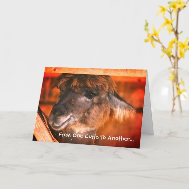 Carte Cute Llama Anniversaire animal humoristique (Fleur jaune)