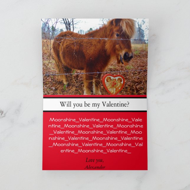 Carte Cute Miniature Horse Valentine Pony and Heart (Intérieur)