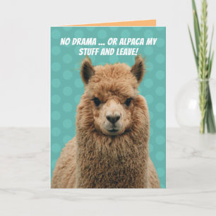 Carte Cute No Drama Llama Or Alpaca My Stuff Birthday