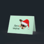 Carte Cute Noir et Tan Chihuahua Chiuppy avec Santa Hat<br><div class="desc">Joli Chihuahua Noir et Tan Chihuahua Chiot avec Santa Hat. Petite race mexicaine de chien de jouet,  peut être agressif et dévoué. Consultez mes idées de cadeaux abordables pour les amis et la famille.</div>