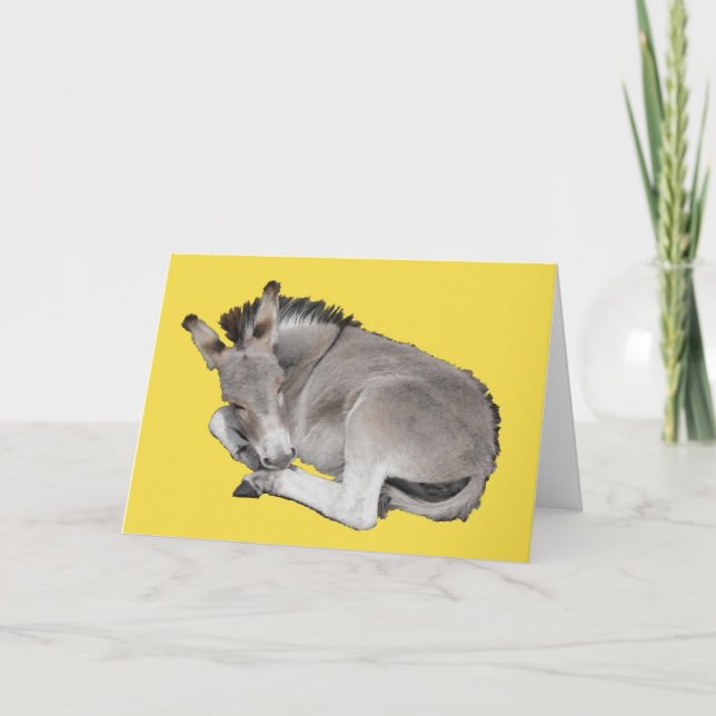 Carte Cute Petit Foin D'Âne Gris (Devant)