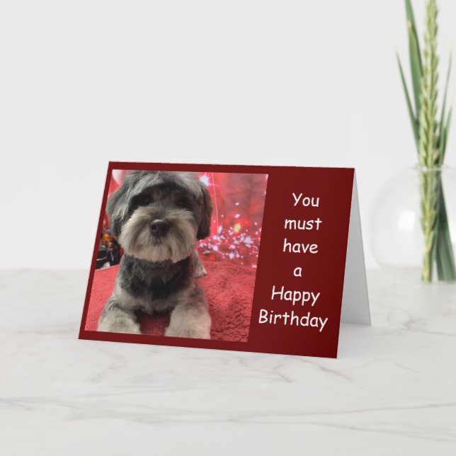 CARTE CUTE PUP ON ***CARTE D'ANNIVERSAIRE DE L'AMI**** C (Devant)