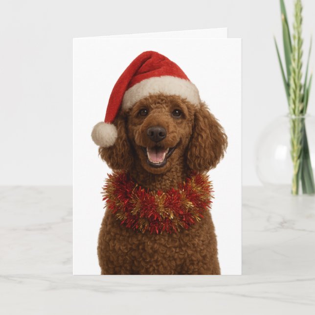 Carte Cute red / brown Poodle Christmas card (Devant)