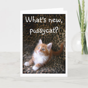 Carte Cute red kitten on leopard print greeting card