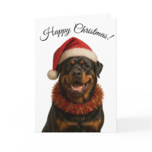 Cute Rottweiler in a Santa hat Christmas card