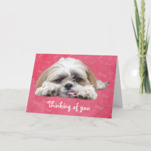 Carte Cute Shih Tzu Puppy : Pensez à vous